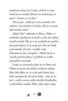 0059146004_npssk-statecny-cap-A101F0F222