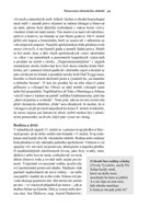 0067369341_vikingove-A101V0F23795-list-9