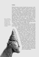 0067369341_vikingove-A101V0F23795-list-9