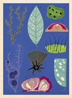 0062833976_A10110F23005-Fungarium_list-2