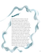 0064520050_A101C0N0000051_Superhrdinove-