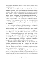 0061258139_andelsky-mag-a101f0f22791-lis