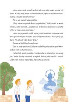 0065325159_zacharias-a-tajemstvi-stribrn