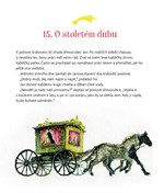 0065179976_adventni-pohadky-a101f0f23497