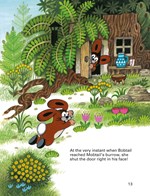 0067782528_little-mole-and-christmas-A10