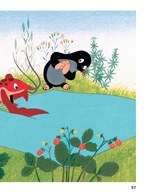 0067782305_jak-krtek-ke-kalhotkam-prisel