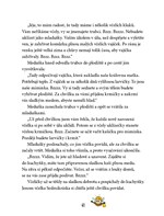 0068029219_vcelka-meduska-a101f0f16375-l