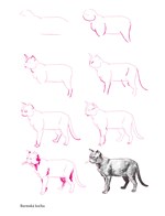 0054272299_A101C0N13184-Nakresli-50-koce