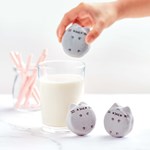 0066061106_Pusheen pece_cz_Strana_025.jp