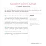 0066061106_Pusheen pece_cz_Strana_029.jp