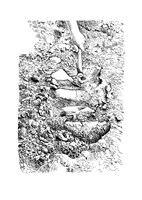 0052276240_tri-kameny-jsou-zed-A101V0F19