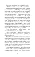 0023048016_smutok_lasku_neodplavi_B102L1