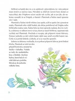 0068033324_zbok005893_dracek-drapek-a-ce