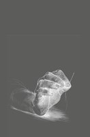 0048026201_A101V0F17581-Labyrint pohybu-