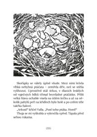 0058531628_a101c0n13571_divocarka-krev-0