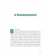 0067197542_ZBOK005866_problemy-na-sumave