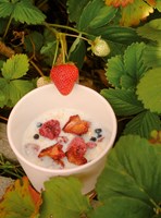 0066327524_a101c0n0000168_do-hrnku-a-mis