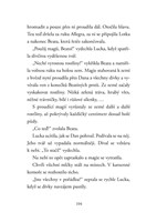 0055580844_a101c0n13360_hvezdny-prach-te