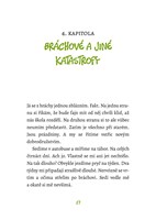 0070069924_a101c0n0000557_holka-listovan