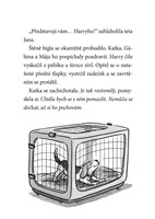 0064791450_a101c0n0000085_at-ziji-stenat