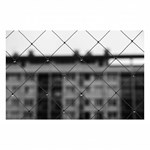 0070112601_ZBOK005973_obrazy-a-slova-lis