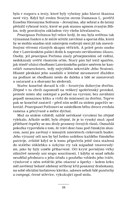 0056041588_A101V0F21013_Noc-svetlonose-l