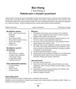 0067636028_a101c0n0000370_vic-nez-jen-li