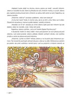 0067329299_a101c0n0000328_brnenske-pribe