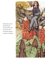 0074716446_A101E0N14181_Divadelko_010.jp