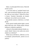 0064791442_a101c0n0000084_at-ziji-stenat