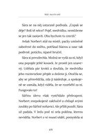 0067722237_a101c0n000385-bile-medvide-li