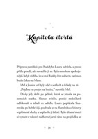 0074706248_a101c0n0000735_kouzelny-jedno