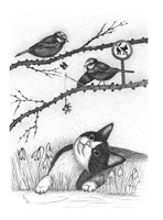 A101I0F0002004_skritek-kompostik-a-jeho-