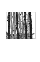 A101I0F00004_terapie-sebepoznanim-list2.