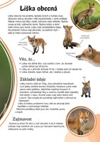 poznavame-zvirata-v-lese-a101f0f13906-li