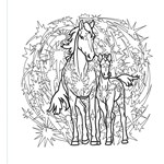 a101e0n0002137_hribata-omalovanky-list2.