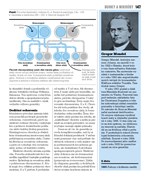 B102L10000049_medicina-list6.jpg