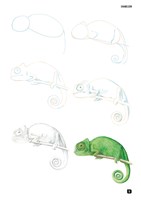 A101C0N0002557_jak-nakreslit-100-zvirat-