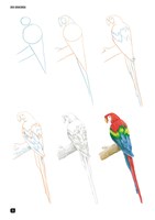 A101C0N0002557_jak-nakreslit-100-zvirat-