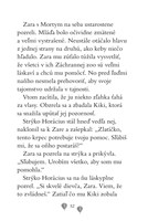 b102f1f16519_zara-ajzz-osamele-levica-li