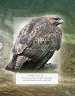 a101e0n0002451_ptaci-nasich-lesu-list4.j