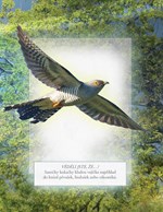 a101e0n0002451_ptaci-nasich-lesu-list2.j