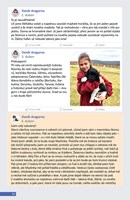 A101E0N0001317_Denik-psa-Aragorna-list1.