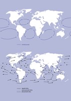 0083935987_9788088433101_namorni-slepota