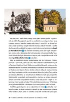 A101Z0F0003058_Zmizela-Sumava-S-Emilem-l