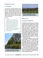 A101C0N0002501_prochazky-ostravou-2-list