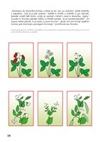 A101E0N0004285_orientace-v-prostoru-a-ca