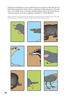 A101E0N0004127_rozvoj-zrakoveho-vnimani-