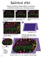 a101c0n0003003-vyskrabovaci-karticky-lis