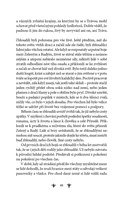 A101I0F0002890_bezejmenna-cesta-list2.jp